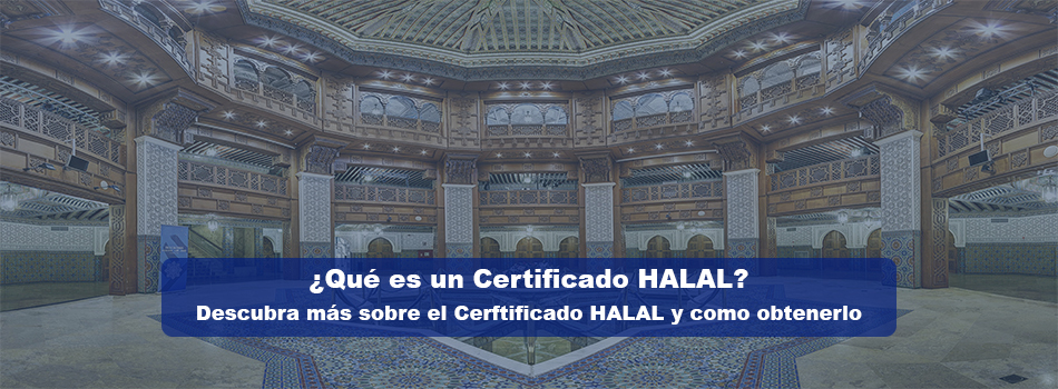Halal Market Consulting